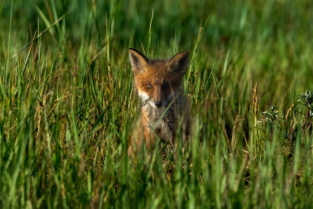 Photograph by Аркадий Старочкин
