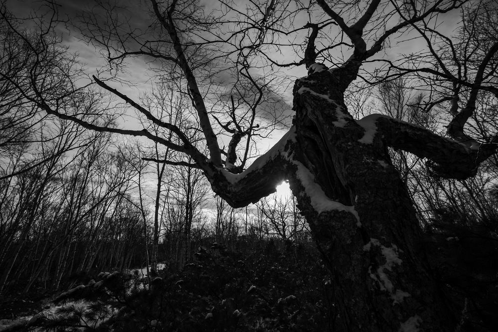 Дай я тебя обниму