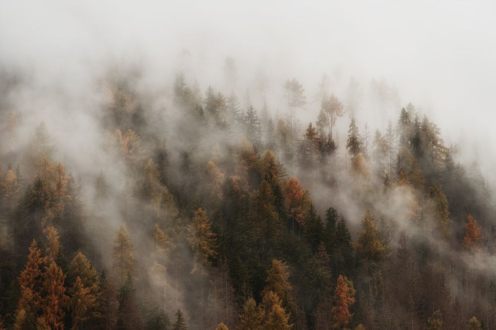 Photograph by Milan Samochin