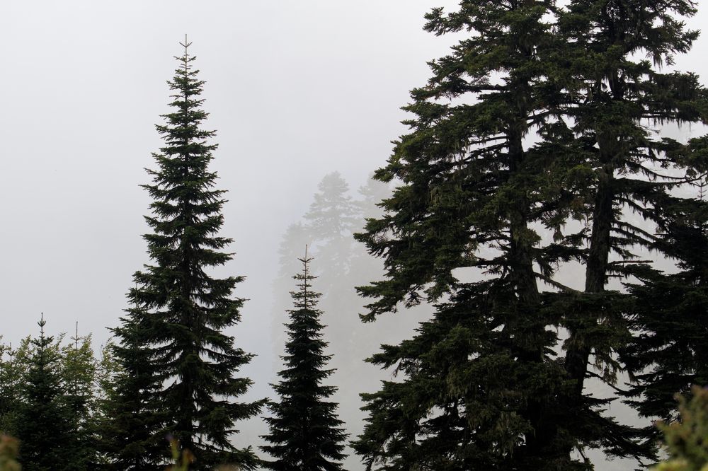 Photograph by Антон Громов