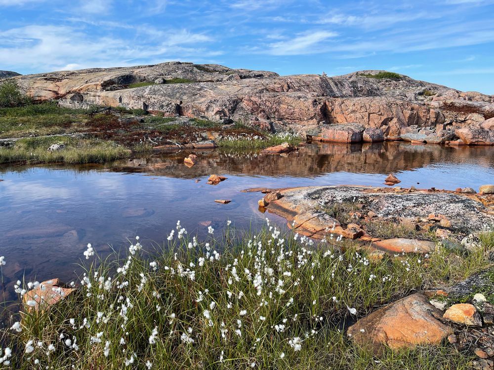 Photograph by Татьяна Лавренова