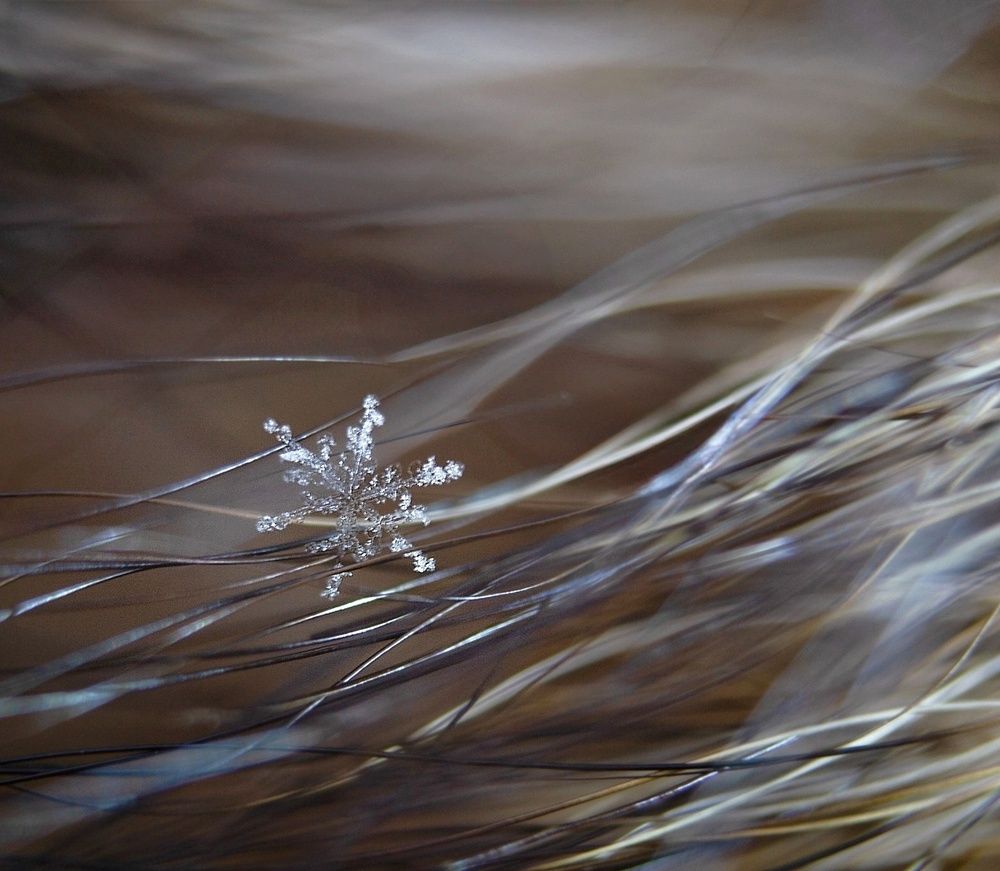 Photograph by Ірина Харитонова