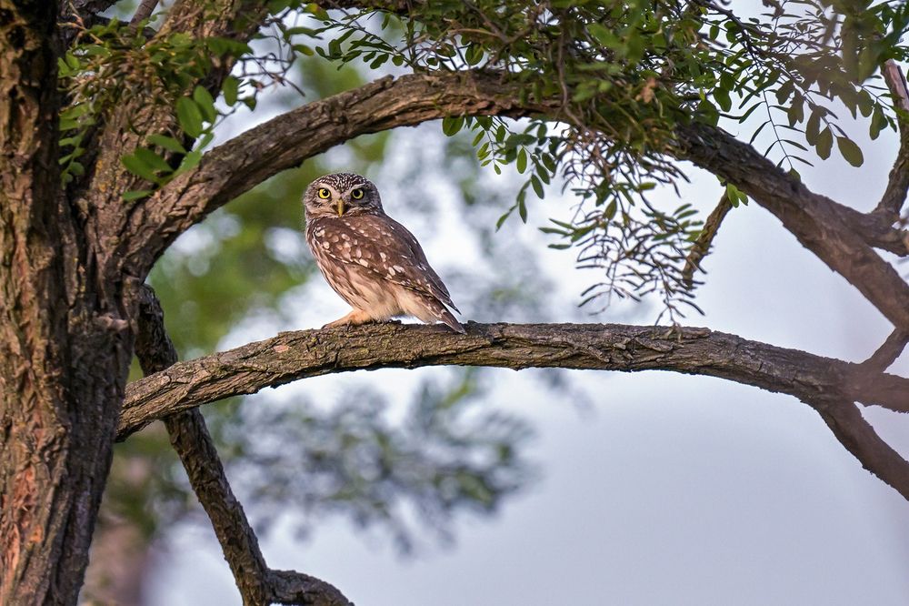 Photograph by Стоян Великов