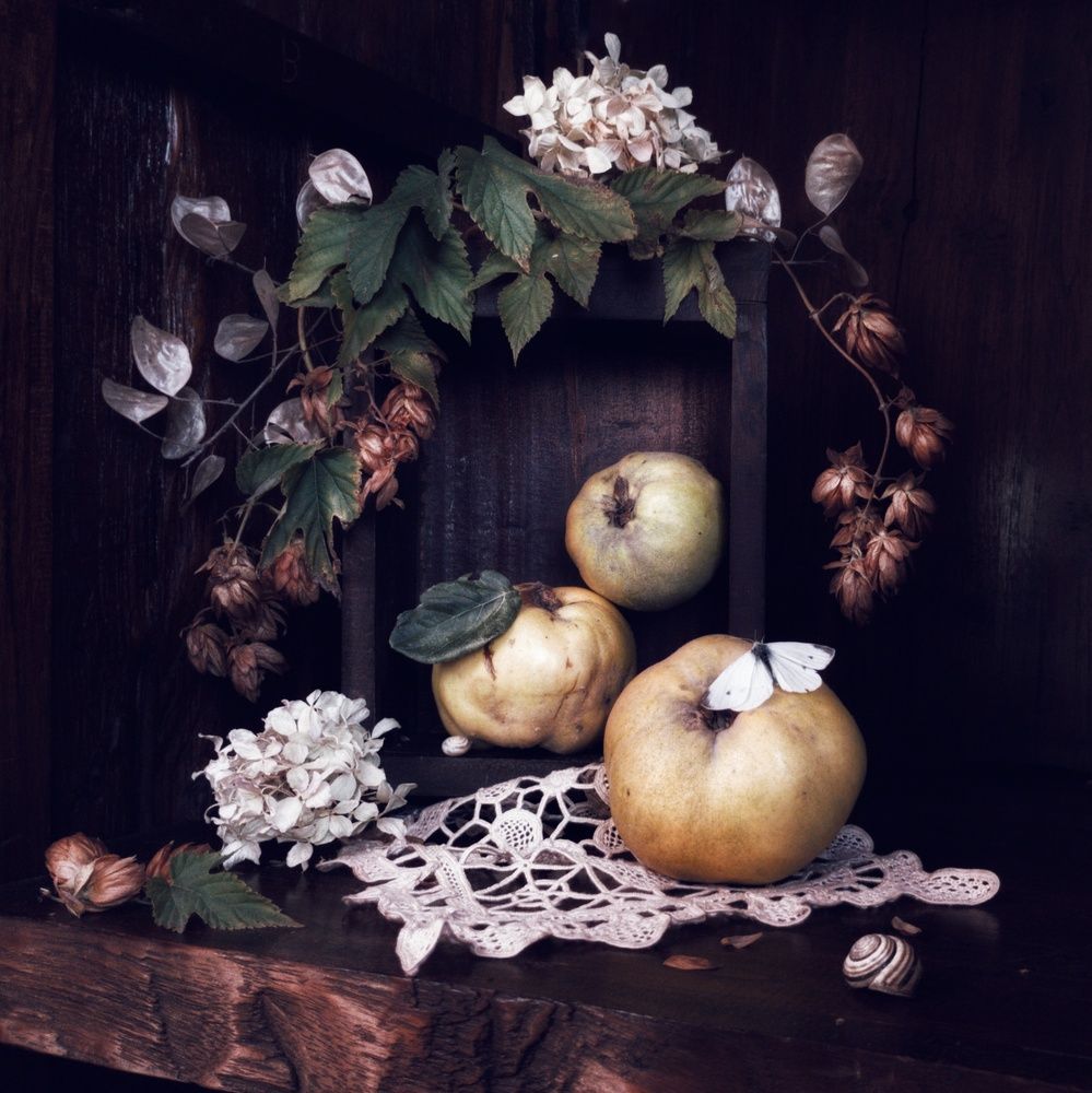 Photograph by Ольга Богорад