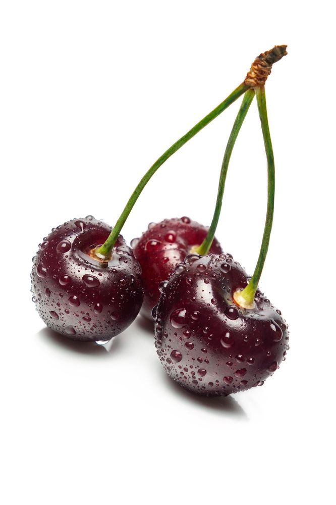 Photograph by Marina David