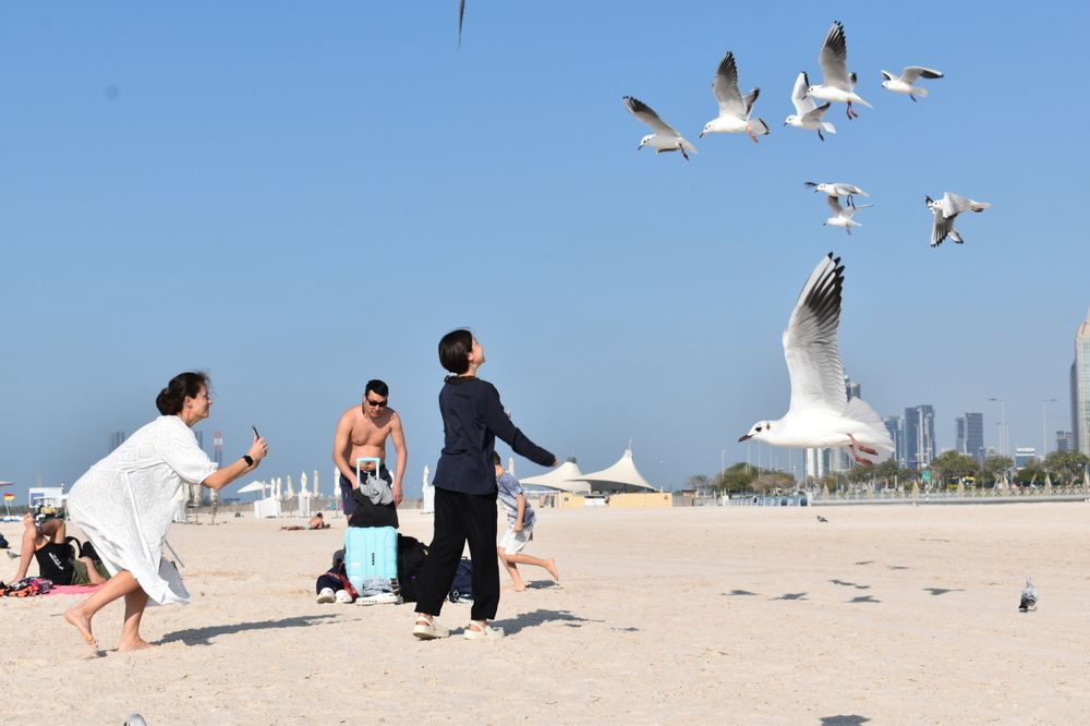 Фотография автора Tkachev Aleksey