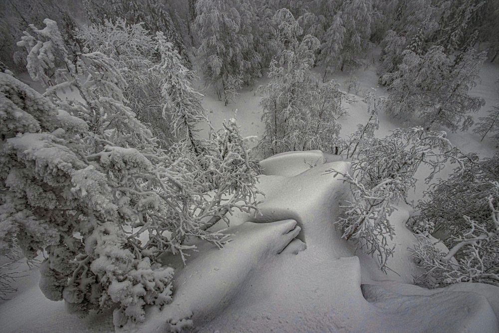 Photograph by Владимир Терехов