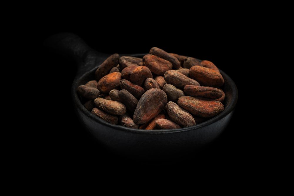 Photograph by Marina David