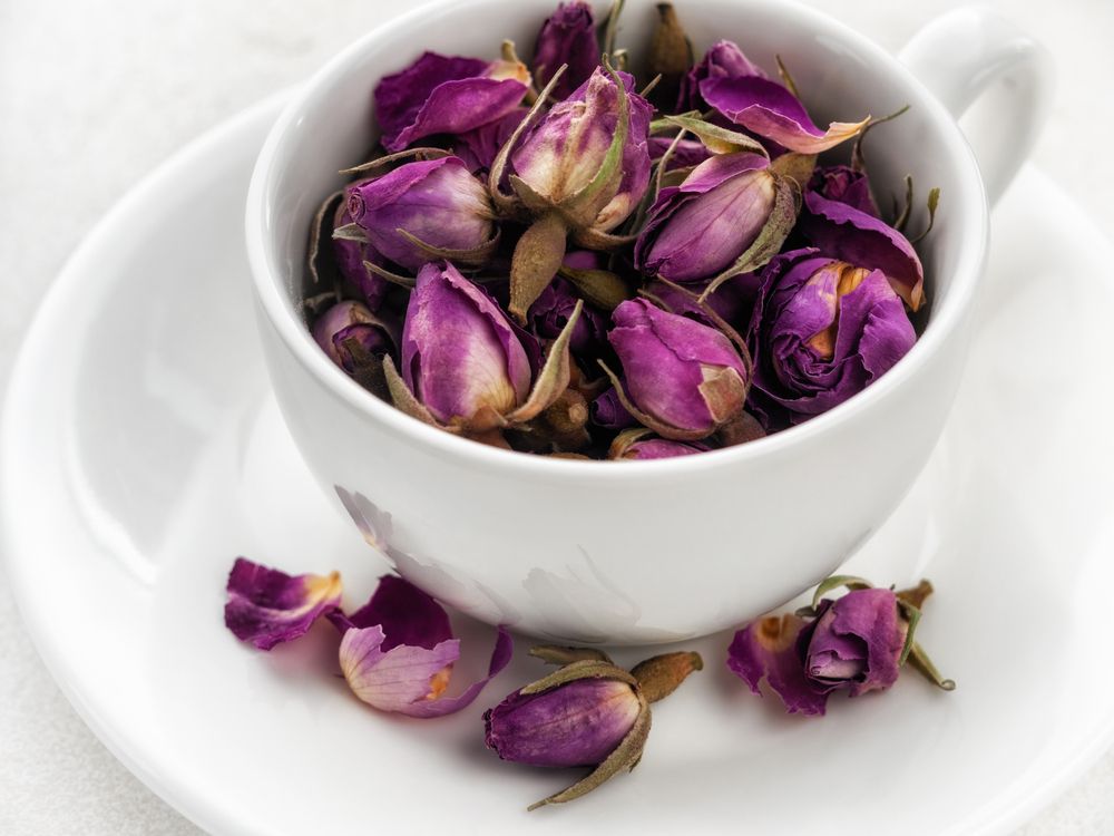 Photograph by Marina David