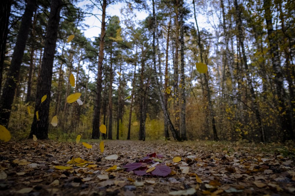 Photograph by Дмитрий Гривцов https://t.me/photoGDIlive