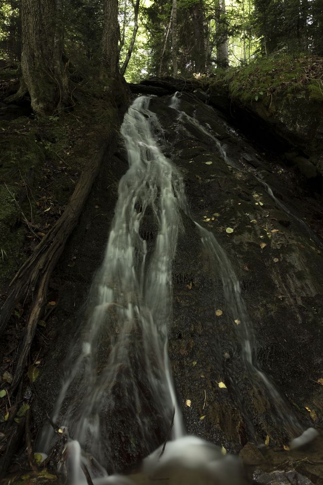 Photograph by Дмитрий Гривцов https://t.me/photoGDIlive