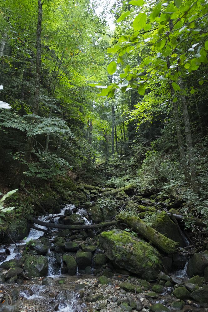 Photograph by Дмитрий Гривцов https://t.me/photoGDIlive