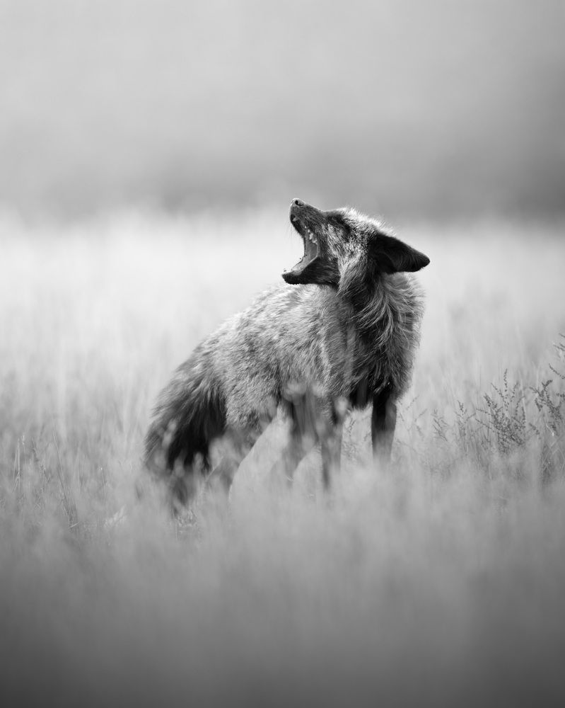 Фотография автора Karthik Subramaniam