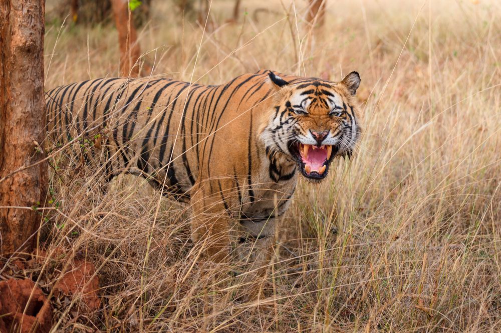 Фотография автора Karthik Subramaniam