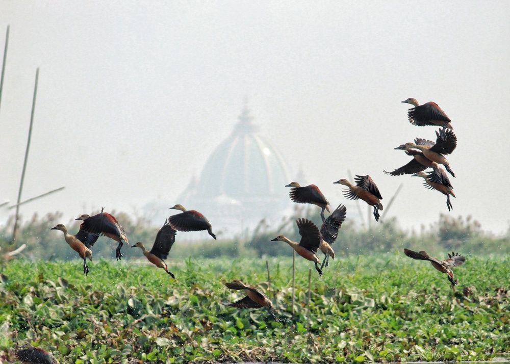 Photograph by Diganto Ghosh