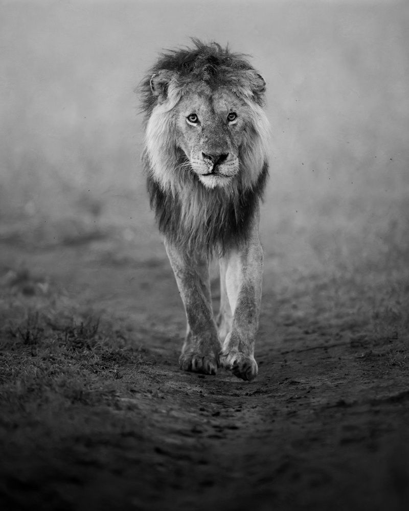 Фотография автора Karthik Subramaniam