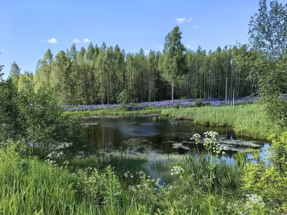 Photograph by Анастасия Моисеева