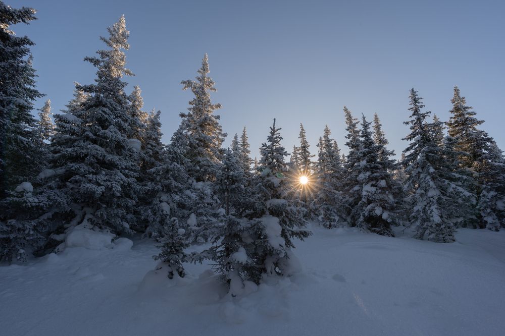 Снега по пояс