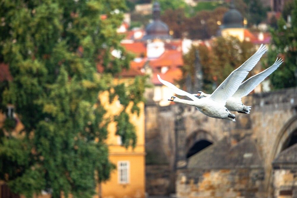 Photograph by ПАВЕЛ