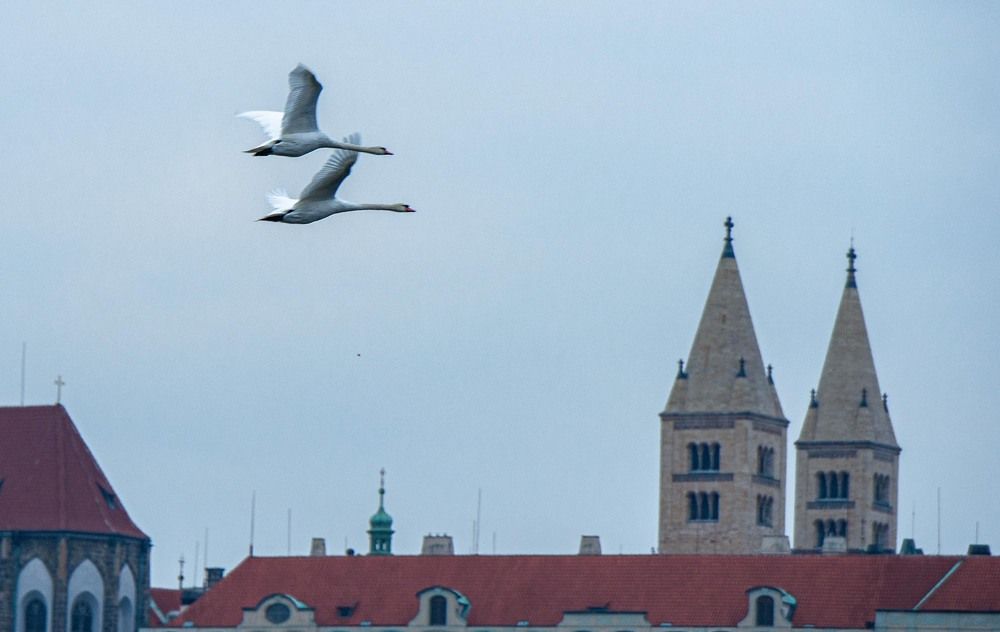 Photograph by ПАВЕЛ