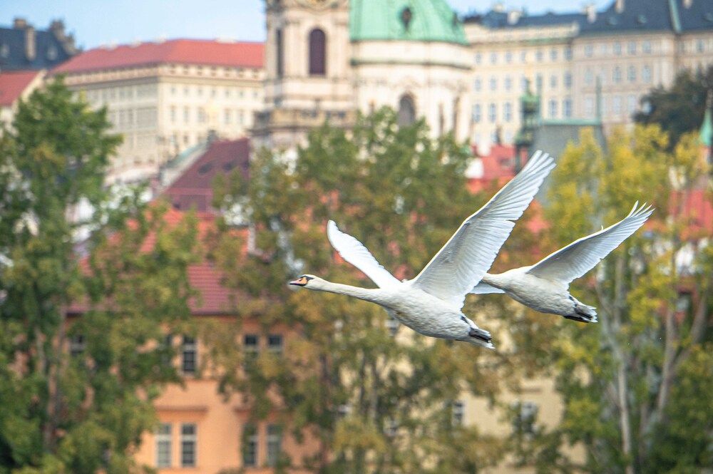 Photograph by ПАВЕЛ