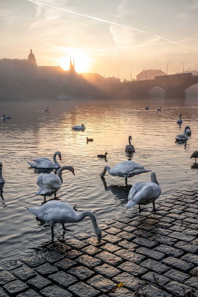 Photograph by ПАВЕЛ