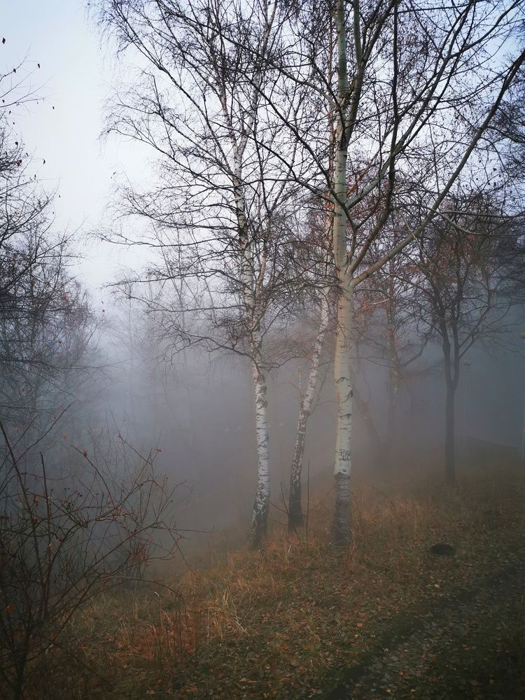 Photograph by Елена Артёменко