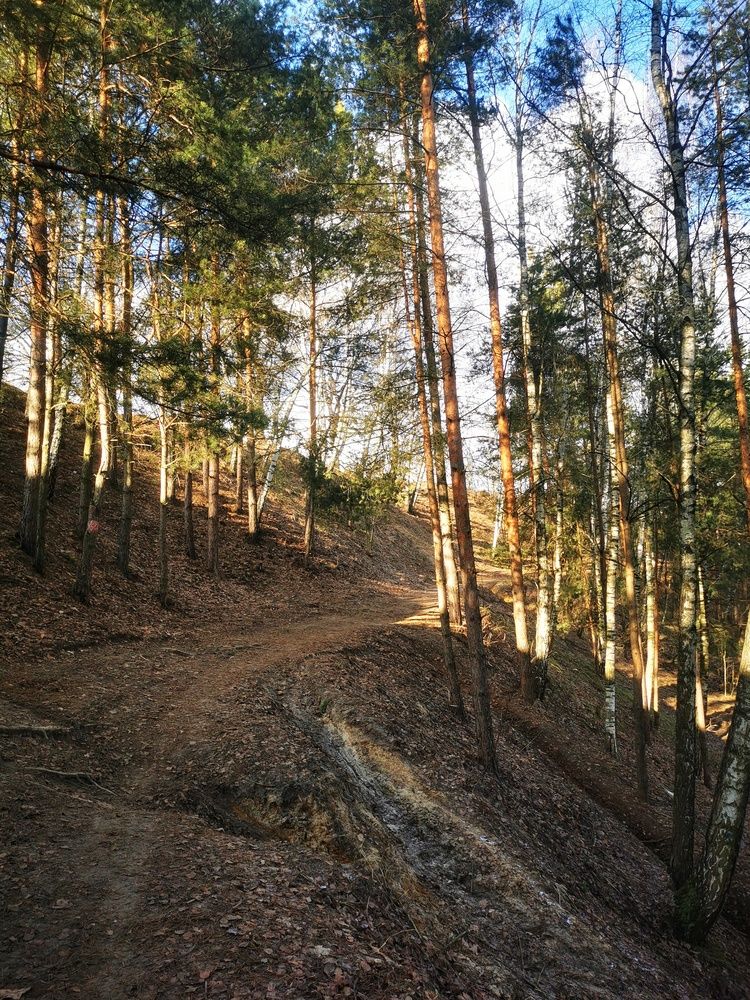 Photograph by Елена Артёменко