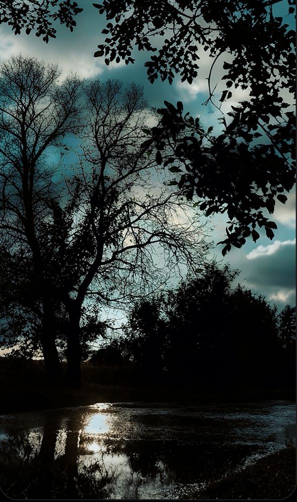 Photograph by Nikolett Mengyi