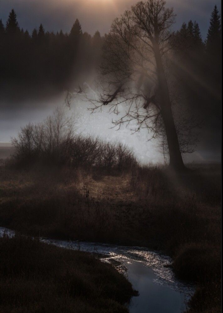 Photograph by Nikolett Mengyi