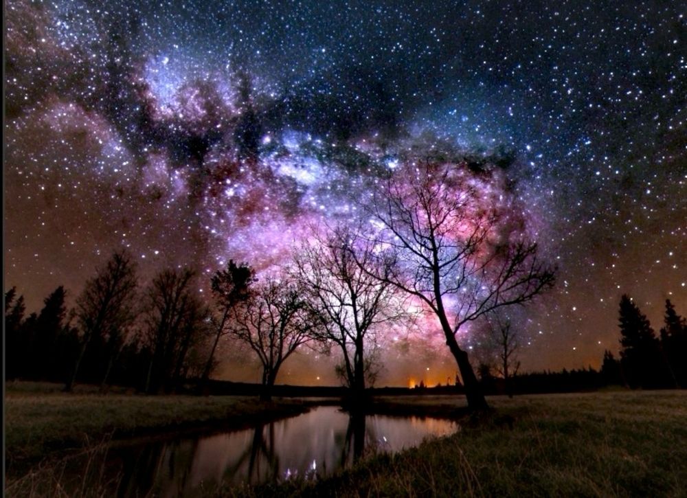 Photograph by Nikolett Mengyi