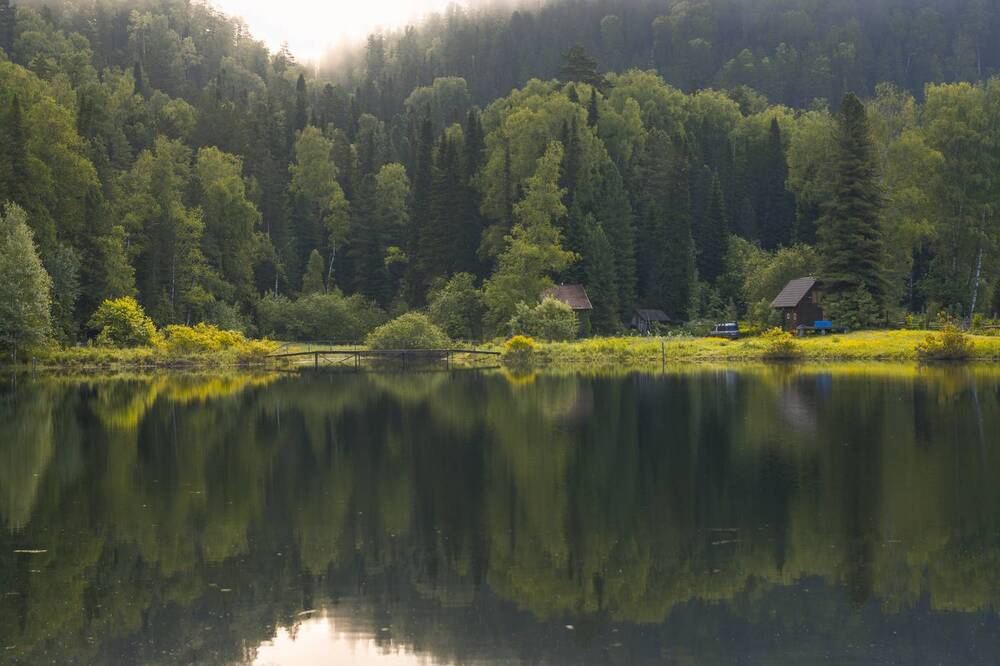 Пробуждение