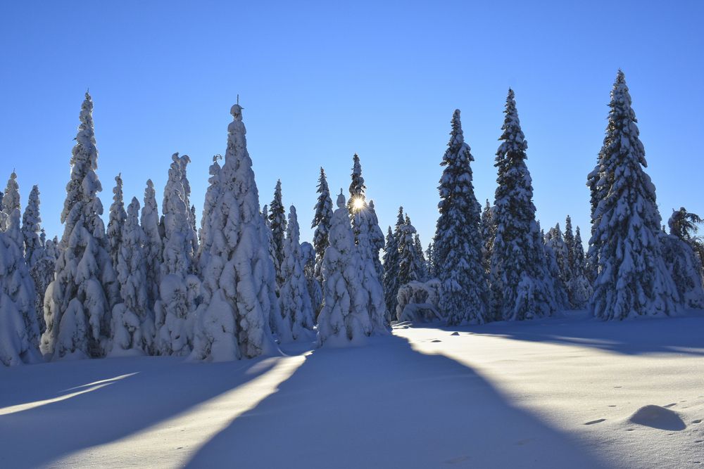 Photograph by Екатерина Чёрная