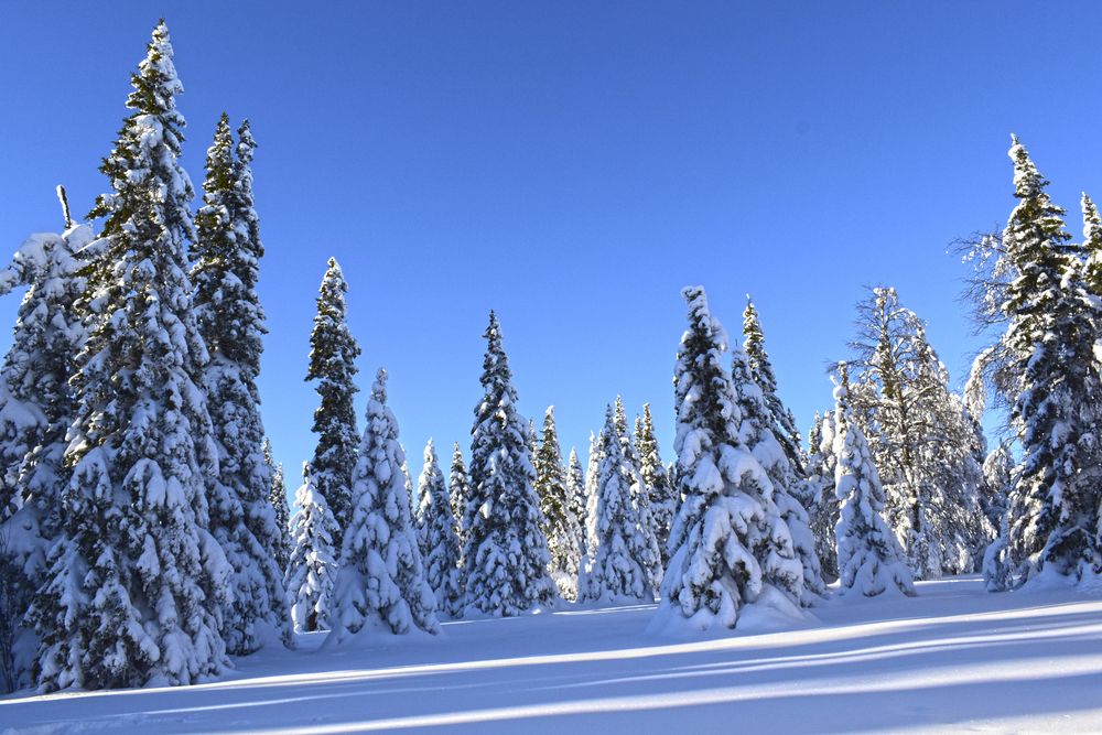 Photograph by Екатерина Чёрная