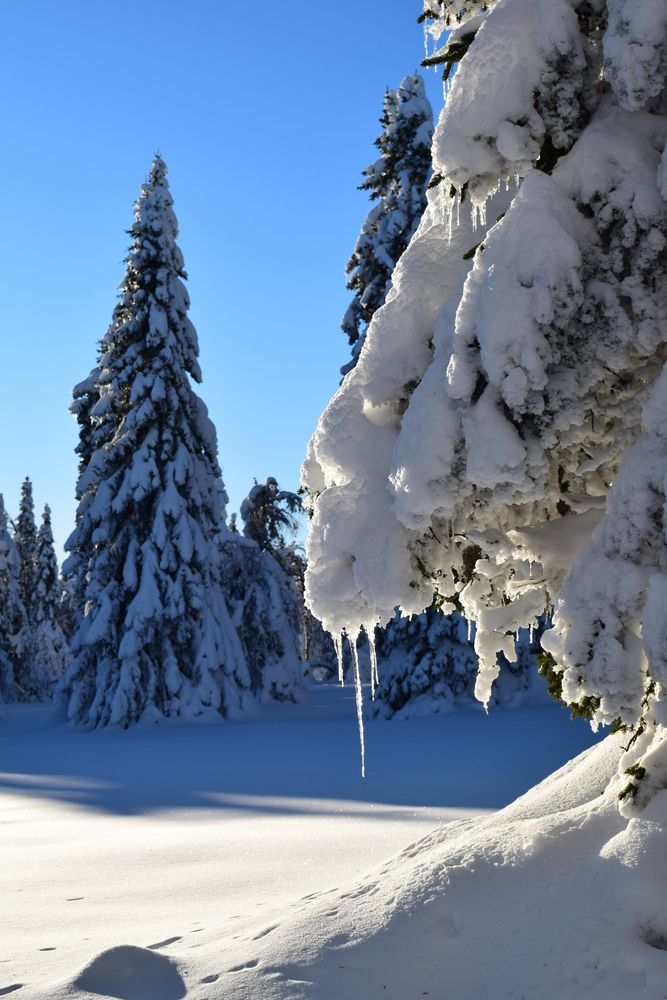 Photograph by Екатерина Чёрная