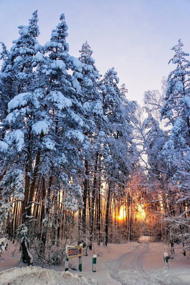 Photograph by Геннадий Глазнев