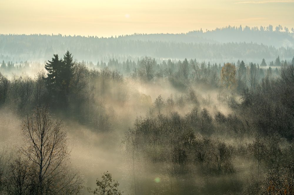 Photograph by Аркадий Старочкин