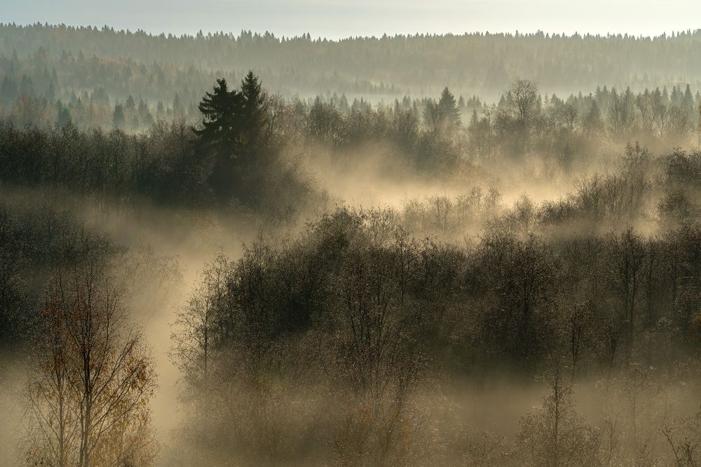 Photograph by Аркадий Старочкин