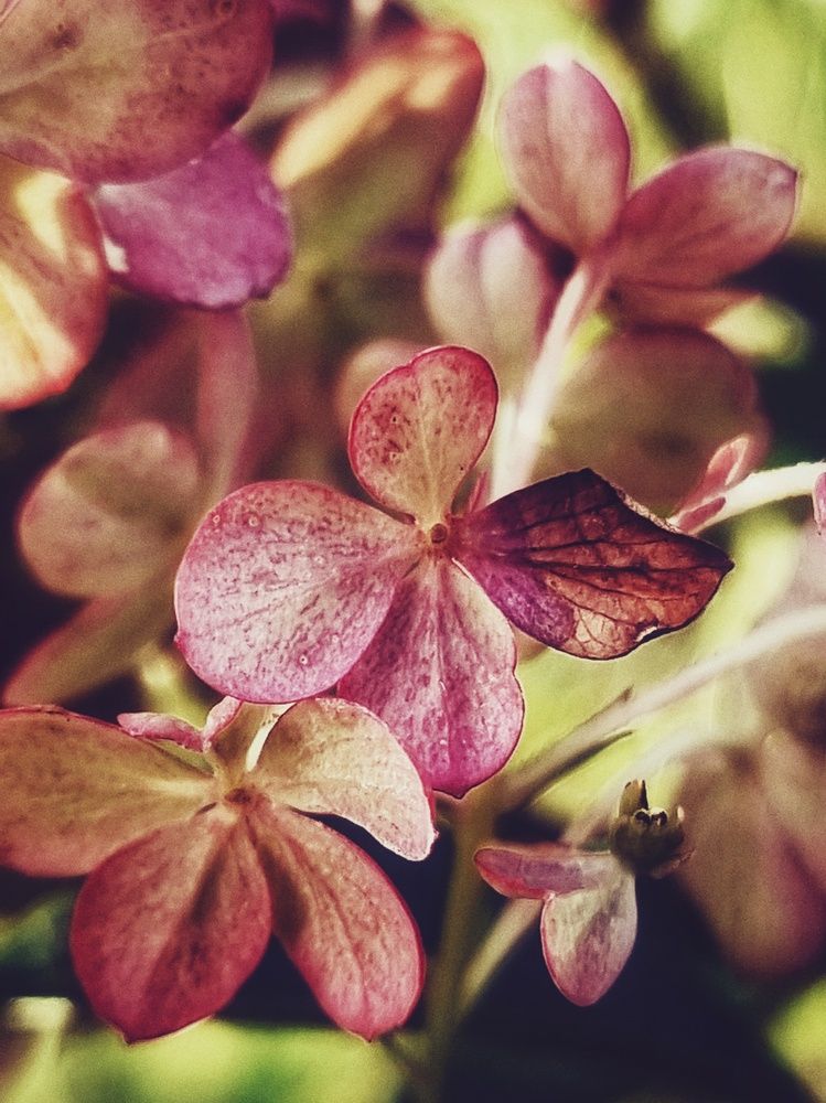 Photograph by Екатерина Воротникова