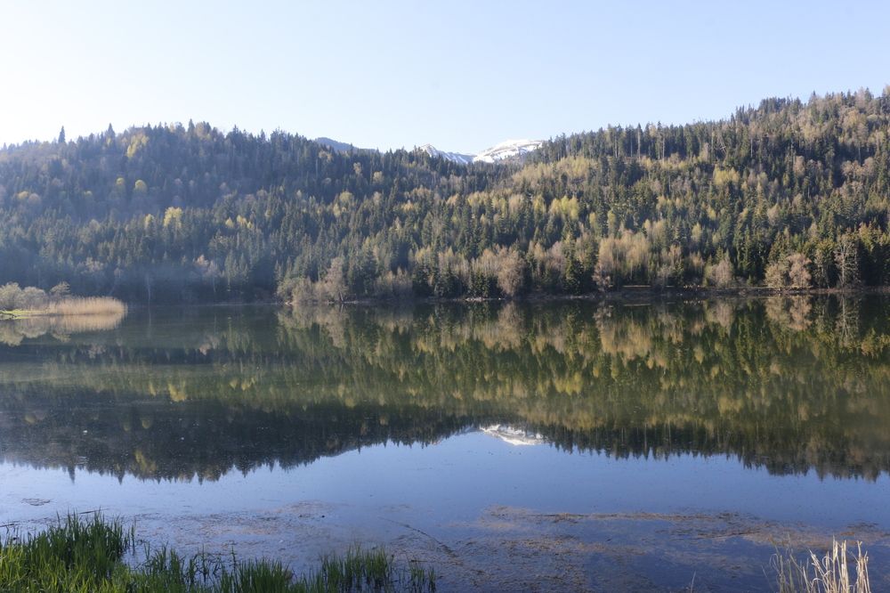 Фотография автора Mariami Sanishvili