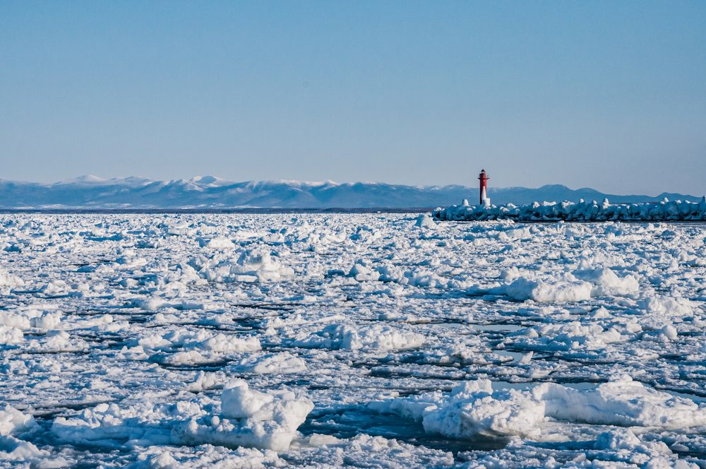 Photograph by Kurashima Daisuke