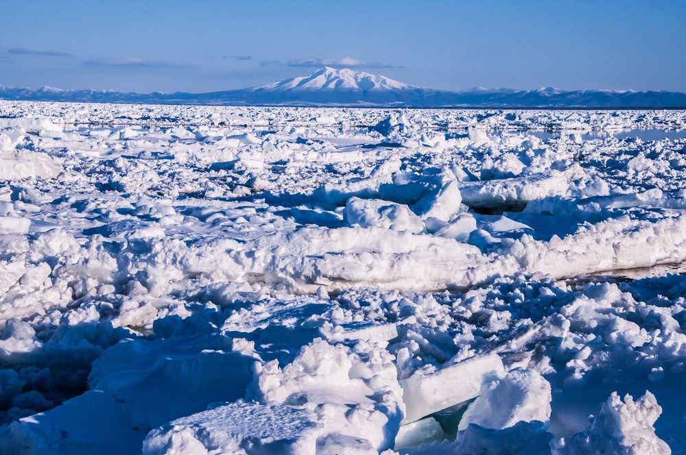 Photograph by Kurashima Daisuke