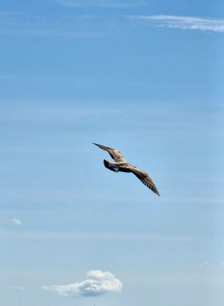 Photograph by Екатерина Воротникова
