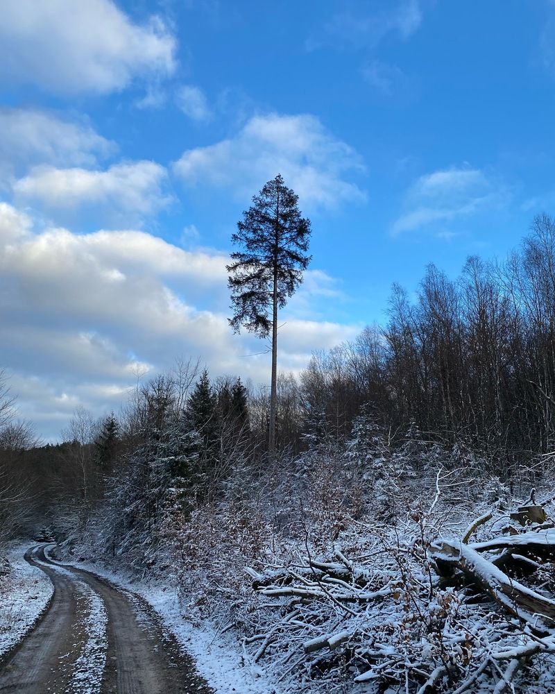 Photograph by Tatjana Schlag