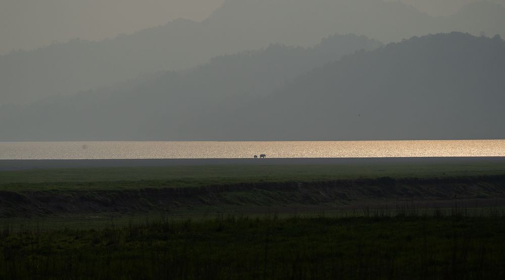 Photograph by MAYANK VERMA