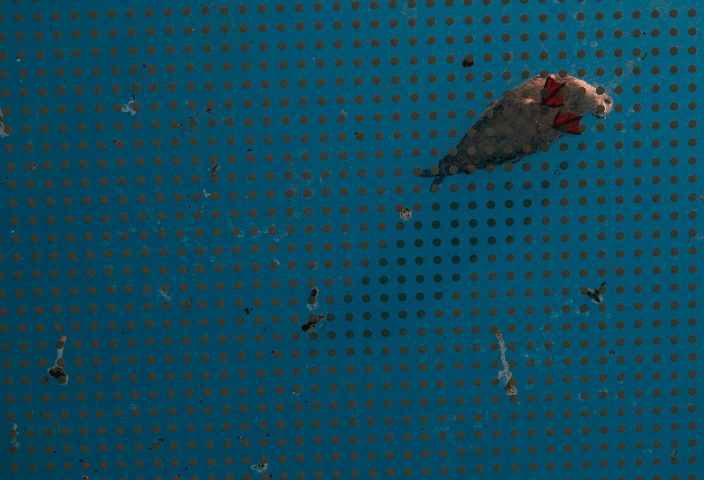 Photograph by Hakan Tunc