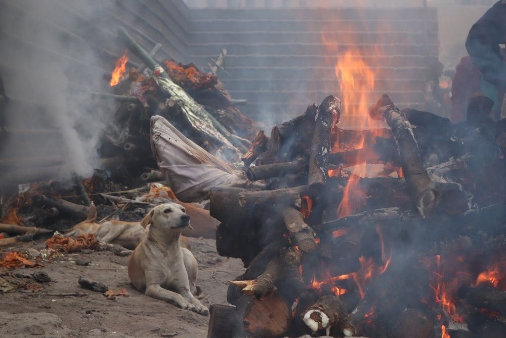 "Loyalty in Life and Beyond"