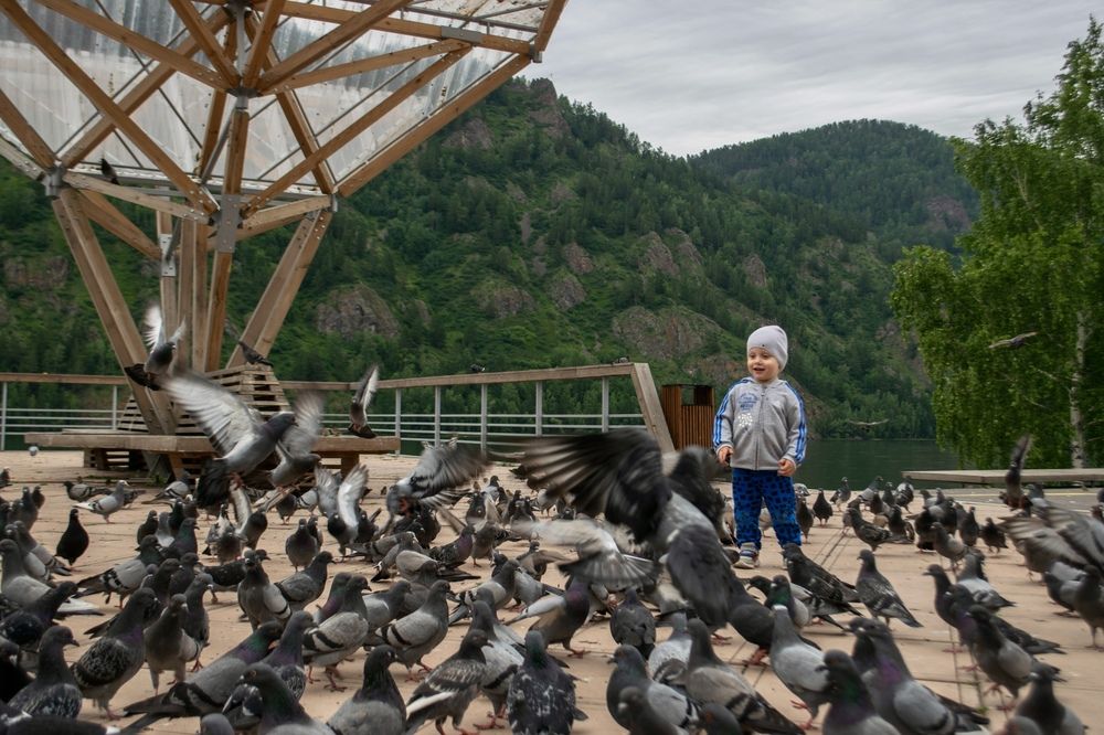 Photograph by Светлана Дмитриева