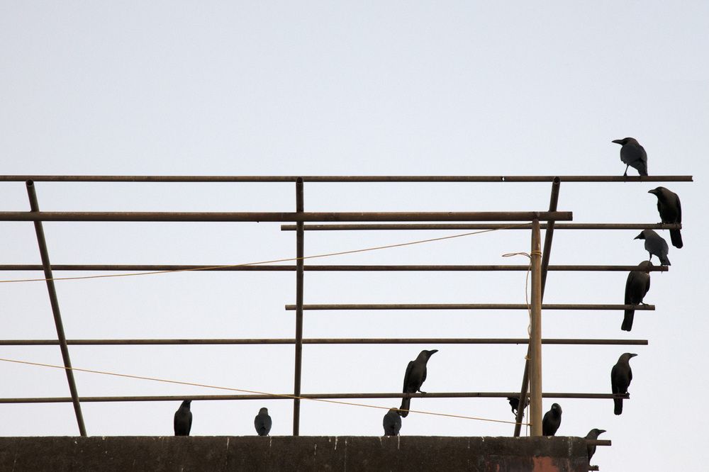 Photograph by Latheef M A