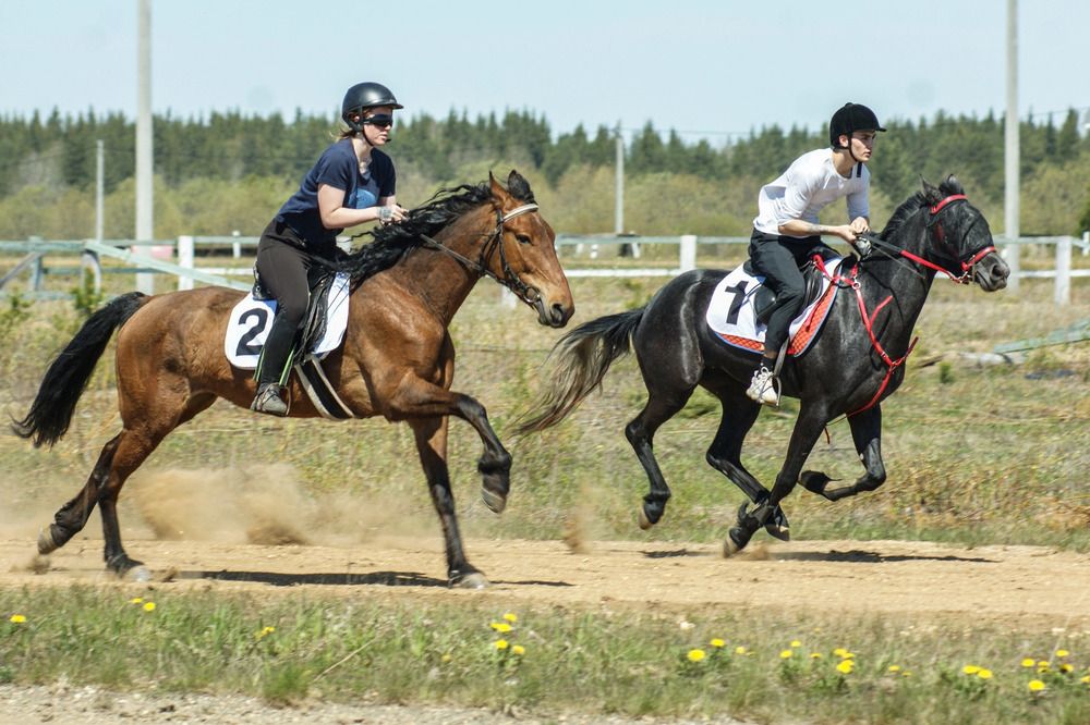 Photograph by Маргарита Забалахтина